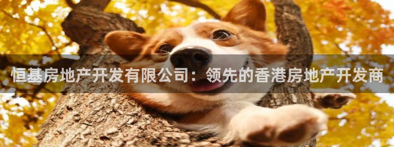 万向娱乐平台代理怎么做赚钱
