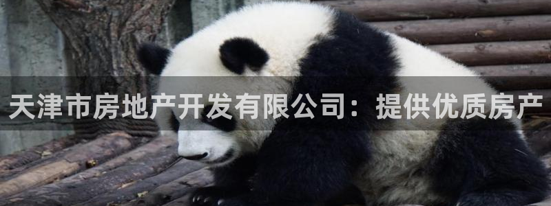 万向娱乐平台代理多少钱