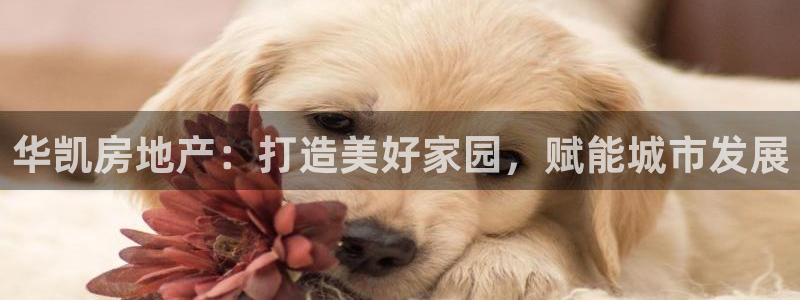 万向娱乐挂机软件