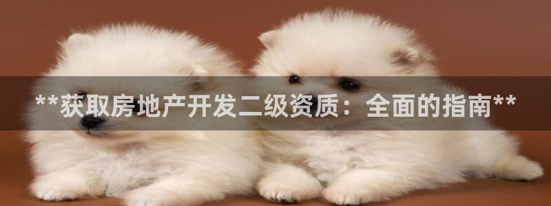 万向娱乐平台代理