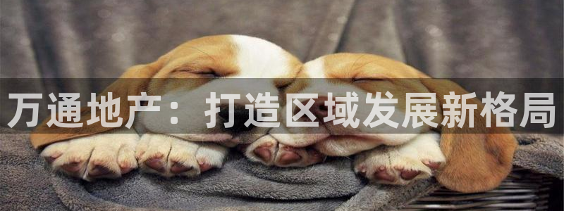 万能娱乐平台直招代理