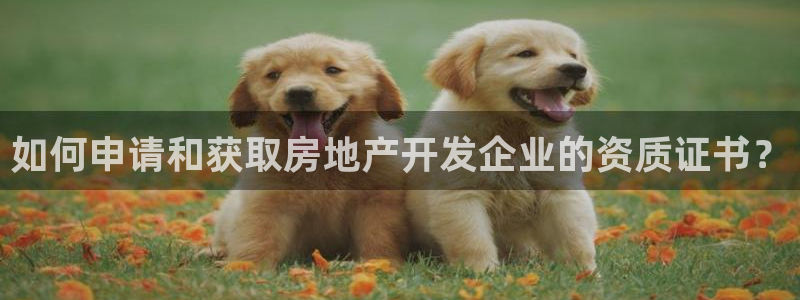 万向娱乐官网网址