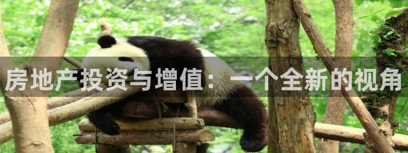 万向娱乐老板