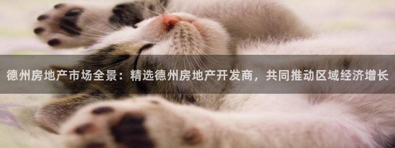 万向娱乐灯333OO