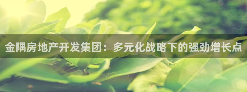 万向娱乐总代