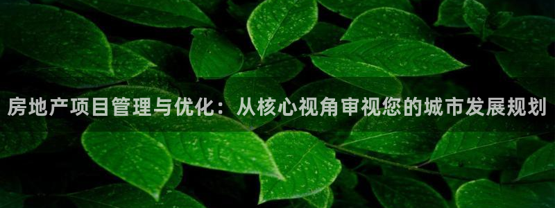 万向娱乐官网网址是什么
