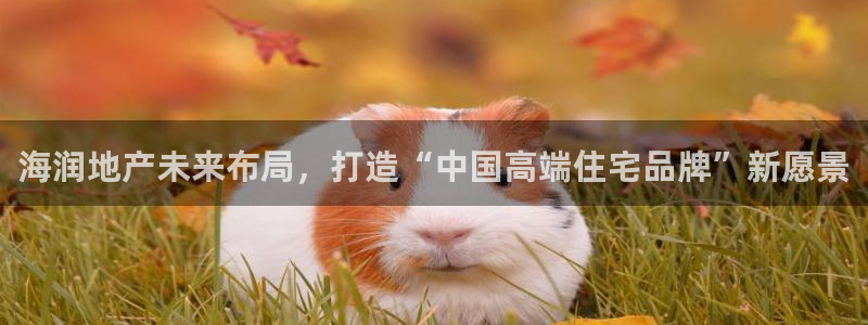 万向娱乐平台代理多少钱一个