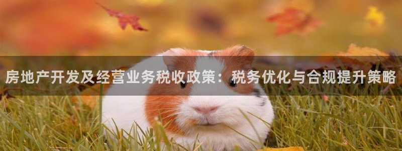 万向娱乐代理好看视频