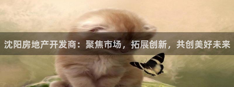 万向娱乐总代