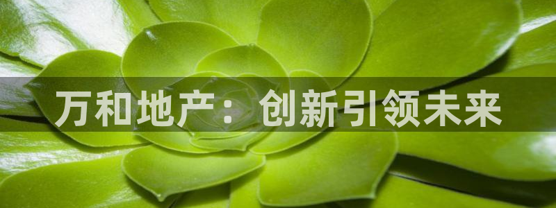 万向娱乐登陆官网