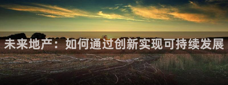 万向娱乐老板