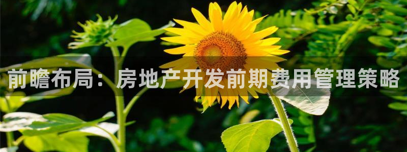 万向娱乐网址是什么