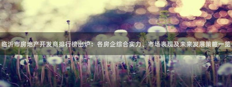 万向娱乐网址是什么