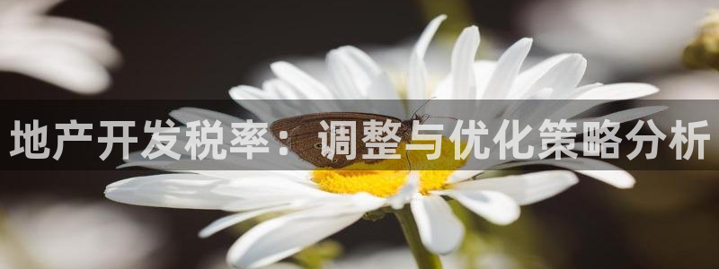 万向娱乐挂机软件