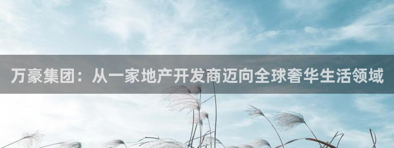 万向娱乐网址是什么
