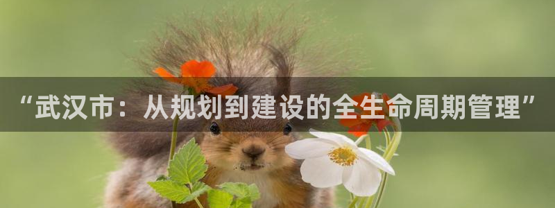 万向娱乐官网网址是多少