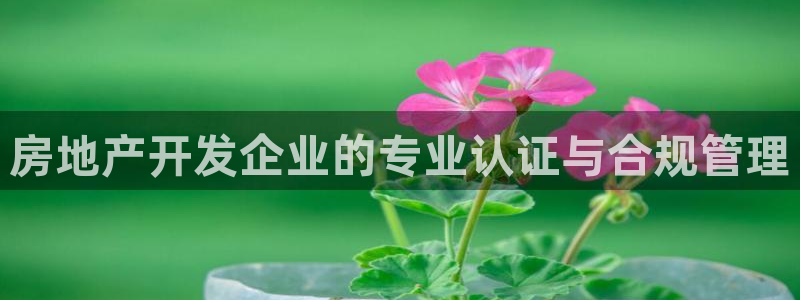 万向娱乐app下载安装
