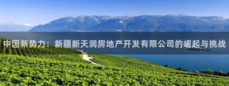 万向娱乐登陆官网