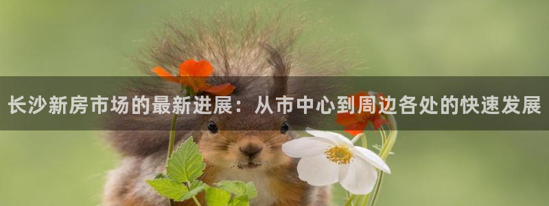 万向娱乐招商