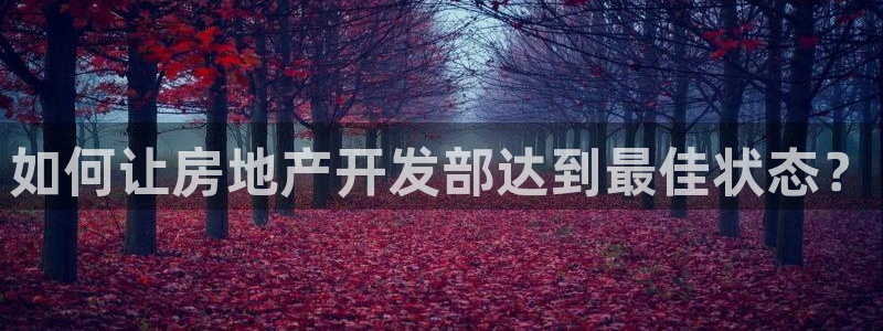 万向娱乐技术