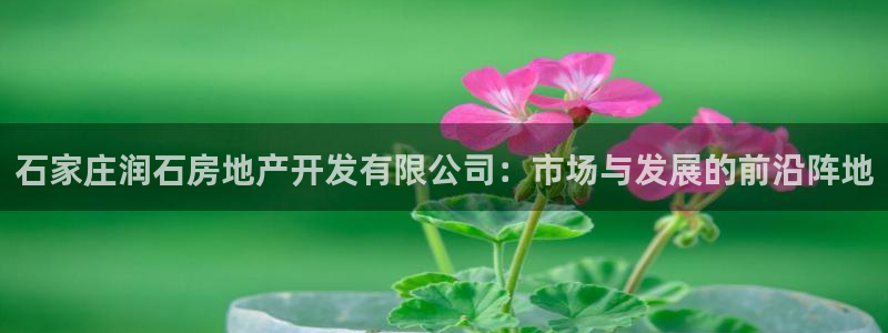 万向娱乐平台代理怎么样赚钱
