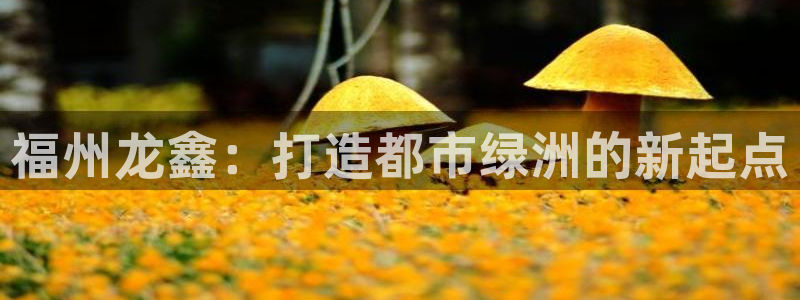 万向娱乐平台代理多少钱