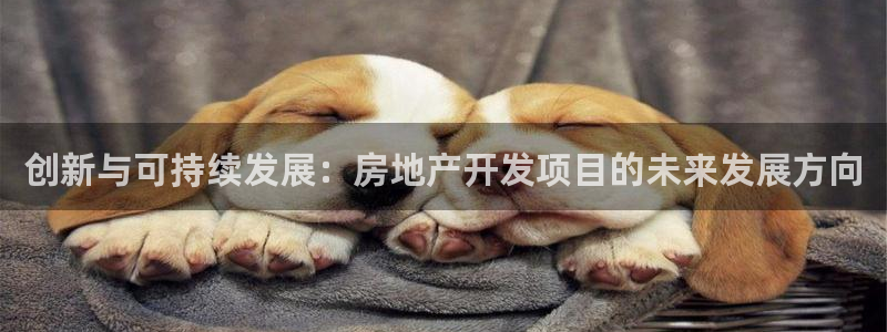 万向娱乐技术分享