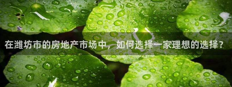 万向娱乐平台代理多少钱