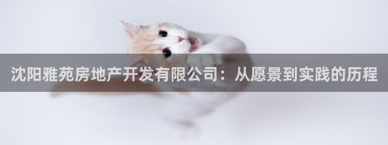 万象游戏代理